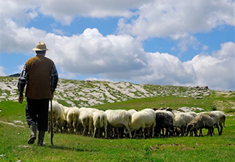 Το υπουργείο προτίμησε να επιλύσει το πρόβλημα με απλή Κοινή Υπουργική Απόφαση, για την οποία ήδη υπάρχουν αντιδράσεις