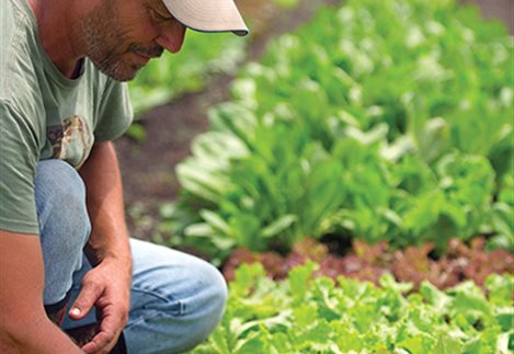 &Eta; &beta;΄ &pi;&rho;&omicron;&kappa;ή&rho;&upsilon;&xi;&eta; &tau;&eta;&sigmaf; &Beta;&iota;&omicron;&lambda;&omicron;&gamma;&iota;&kappa;ή&sigmaf; &Gamma;&epsilon;&omega;&rho;&gamma;ί&alpha;&sigmaf; &omicron;&rho;ί&zeta;&epsilon;&iota; &pi;&epsilon;&rho;&iota;&sigma;&sigma;ό&tau;&epsilon;&rho;&alpha; &kappa;&rho;&iota;&tau;ή&rho;&iota;&alpha; &alpha;&xi;&iota;&omicron;&lambda;ό&gamma;&eta;&sigma;&eta;&sigmaf;, &gamma;&epsilon;&gamma;&omicron;&nu;ό&sigmaf; &pi;&omicron;&upsilon; &theta;&alpha; &alpha;&pi;&omicron;&tau;&rho;έ&psi;&epsilon;&iota; &tau;&iota;&sigmaf; &mu;&alpha;&zeta;&iota;&kappa;έ&sigmaf; &iota;&sigma;&omicron;&psi;&eta;&phi;ί&epsilon;&sigmaf; &pi;&omicron;&upsilon; &kappa;&alpha;&tau;&alpha;&gamma;&rho;ά&phi;&eta;&kappa;&alpha;&nu; &sigma;&tau;&eta;&nu; &pi;&rho;&omicron;&eta;&gamma;&omicron;ύ&mu;&epsilon;&nu;&eta; &pi;&rho;ό&sigma;&kappa;&lambda;&eta;&sigma;&eta;.